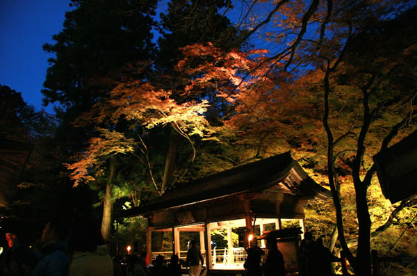 京都の紅葉 貴船神社